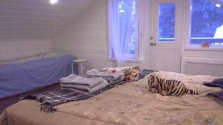 Дома для отпуска Aamuruskon Holiday Home Lankojärvi Дом с 4 спальнями-39